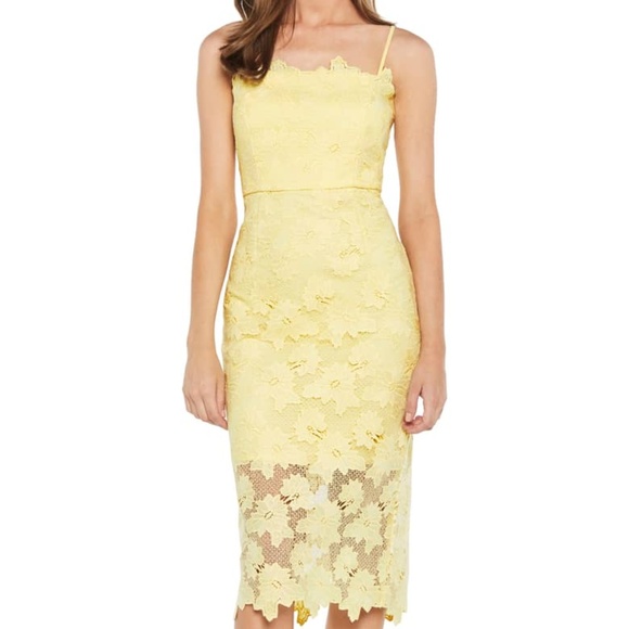 bardot sunshine lace sheath dress